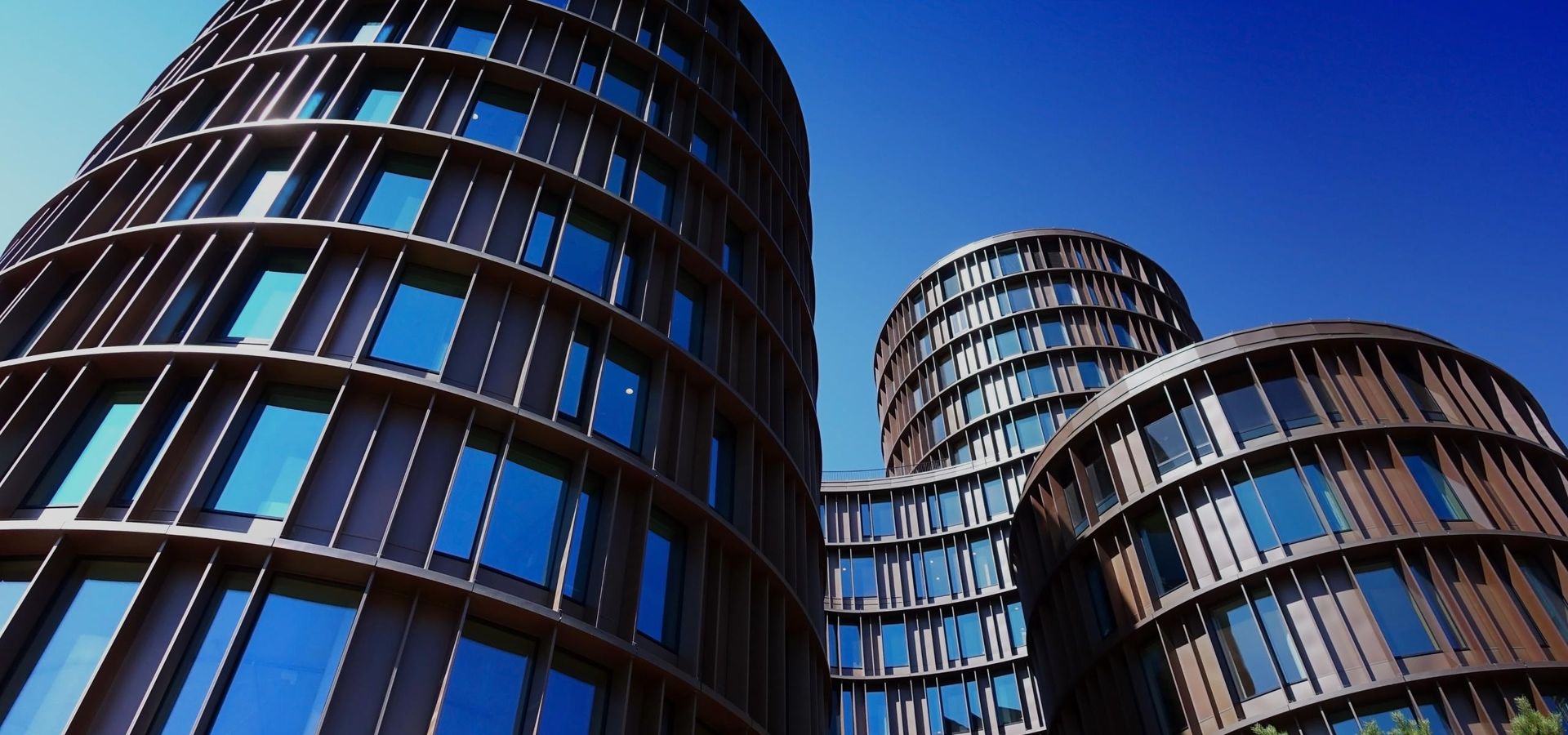 ERP development